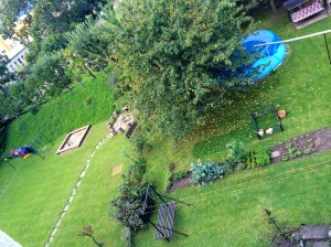 View of the garden outside the house.