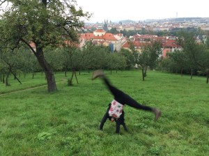Just doin' a cartwheel, you know you know.