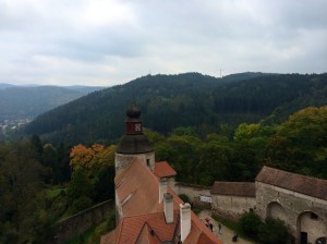 View of the woods and valleys from the top of the Castle.