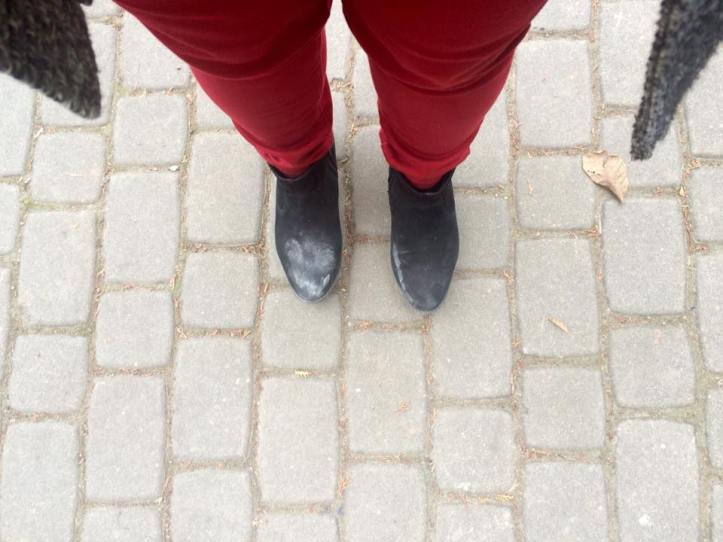 15178127_10209491399176826_5319007929447477124_n