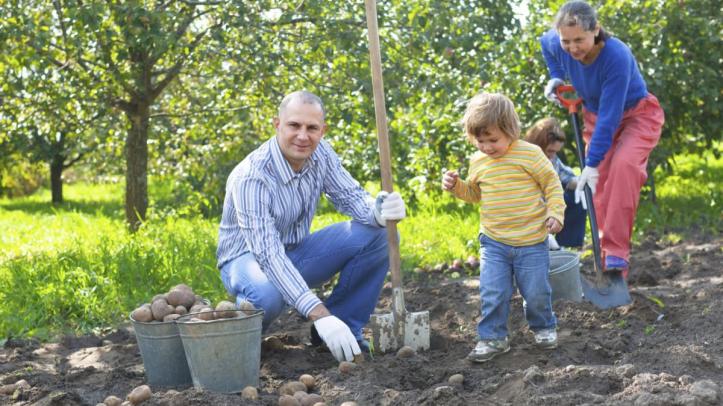 51903-podzimni-zahrada