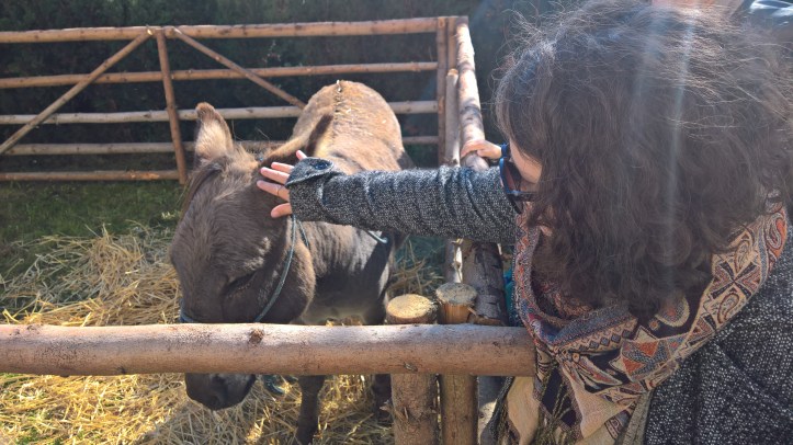 WP_20170930_10_17_49_Pro