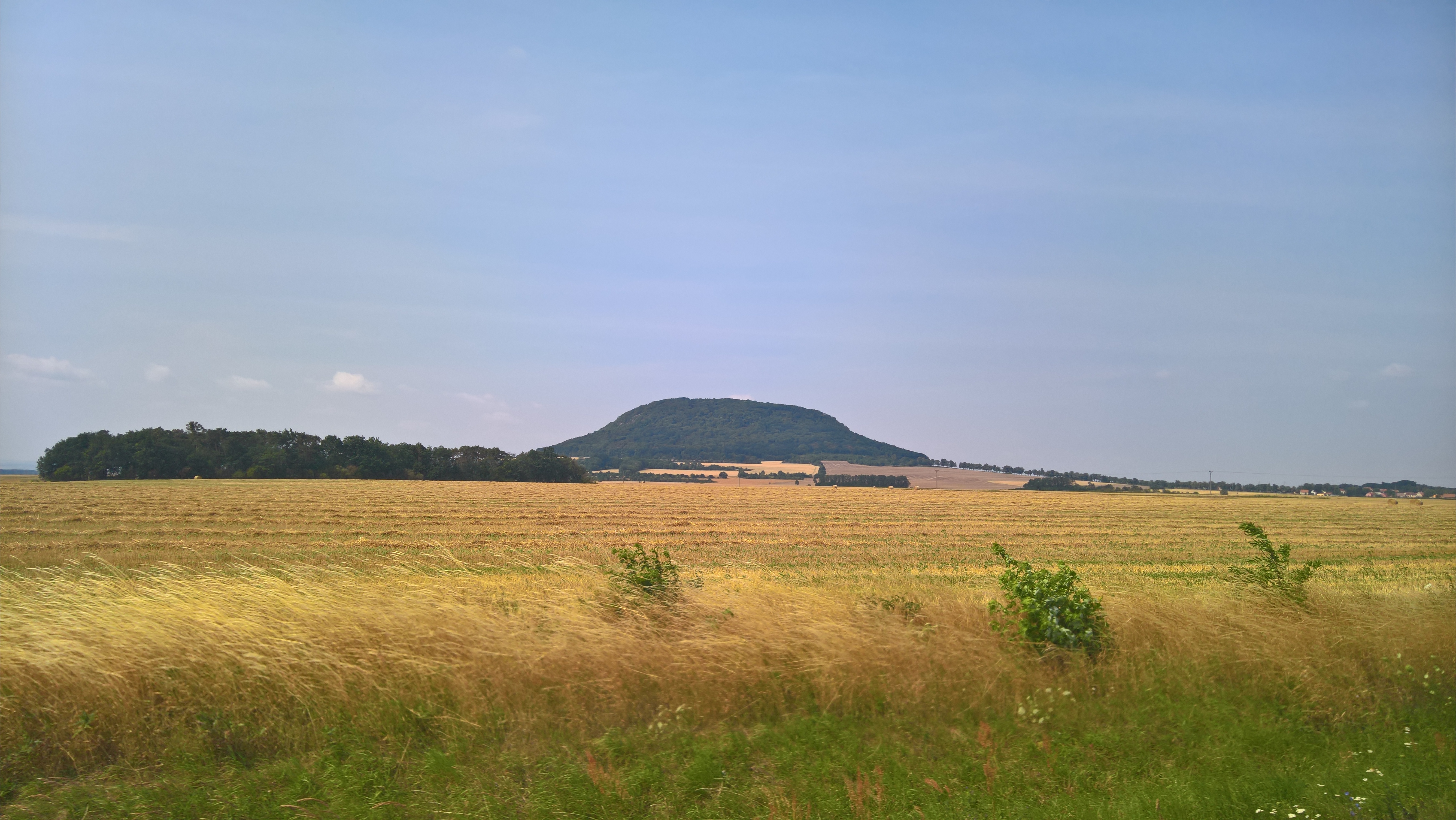 WP_20180718_11_03_21_Rich_LI