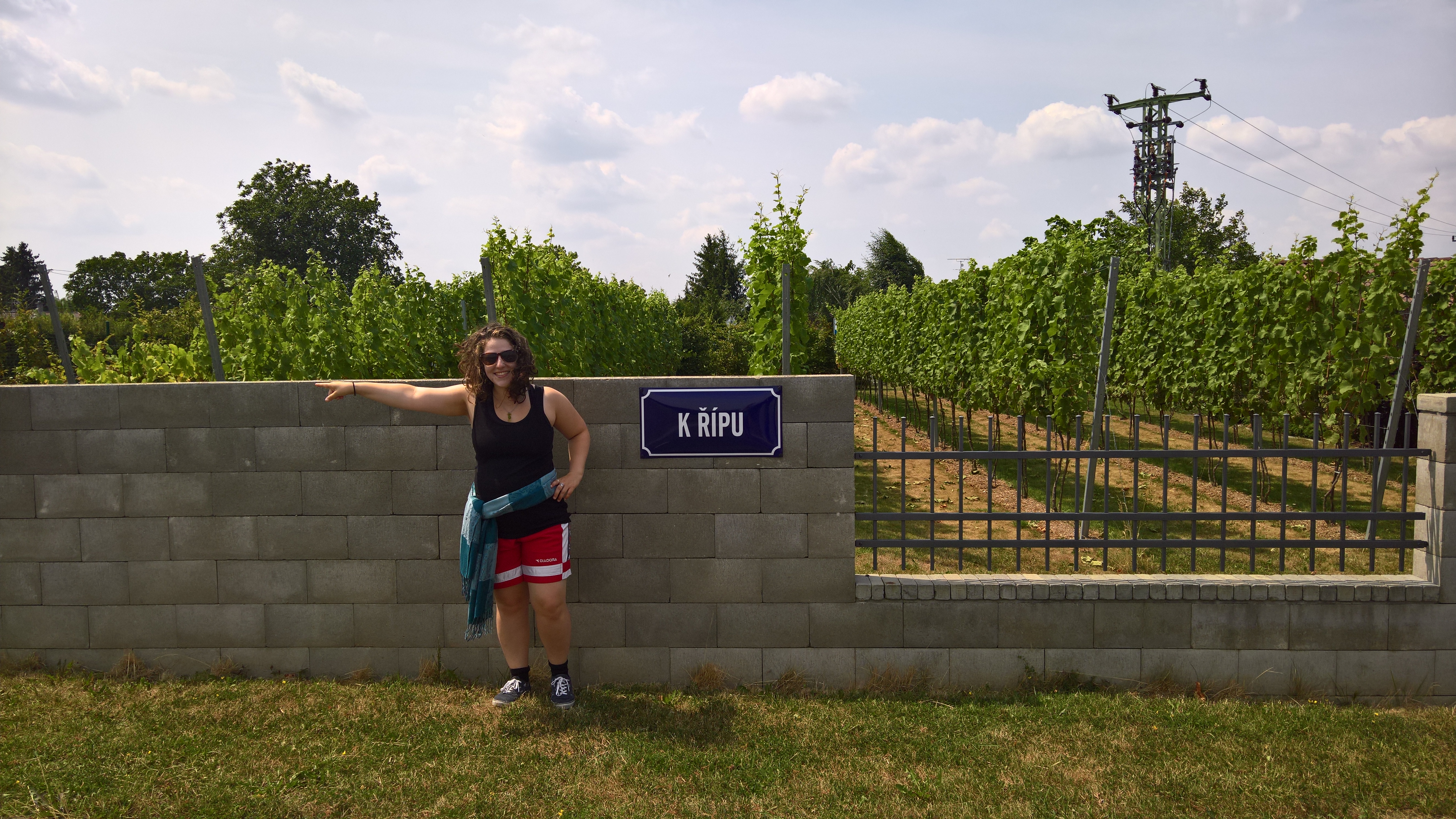 WP_20180718_13_41_03_Rich