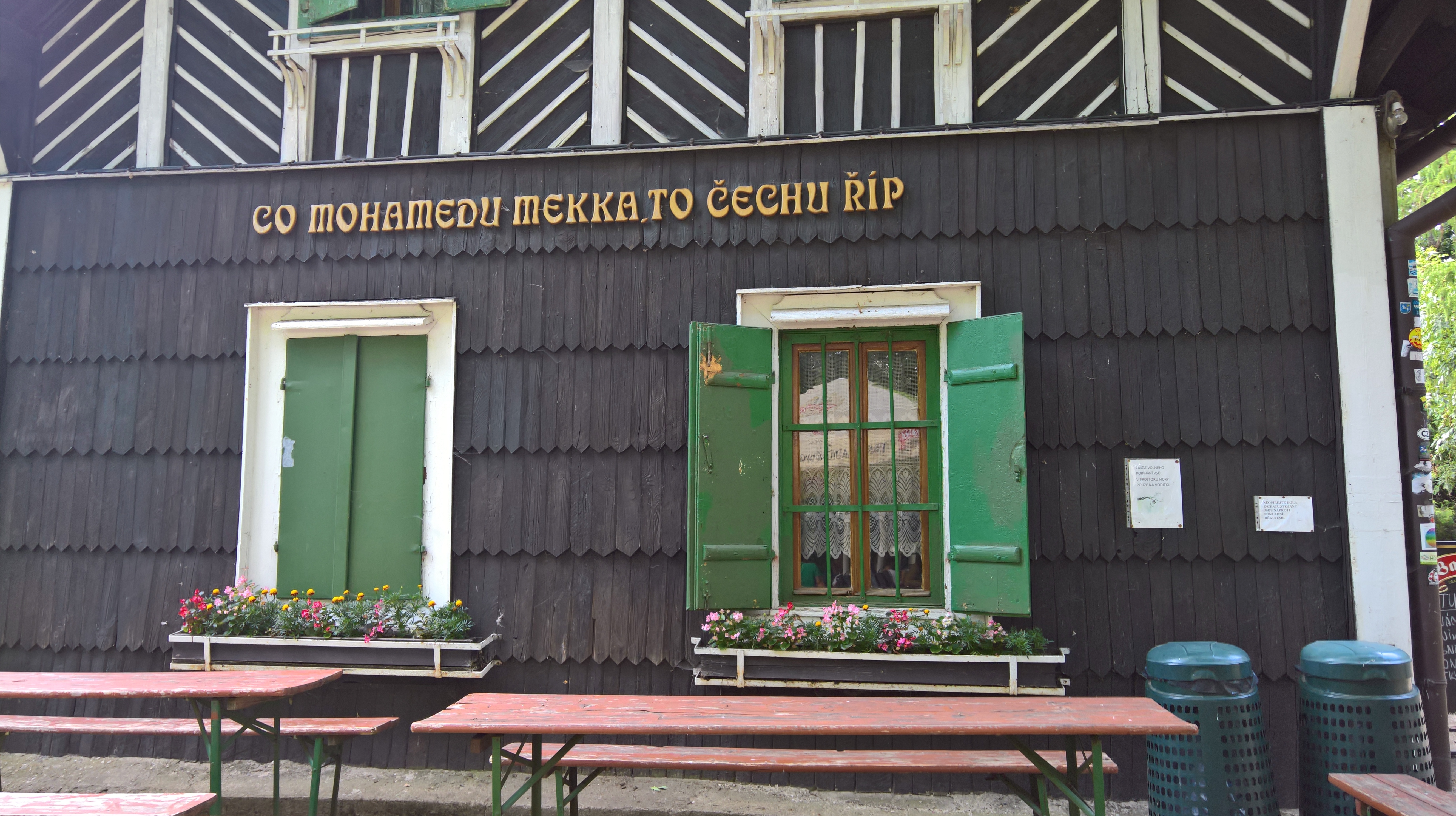 WP_20180718_15_31_55_Rich