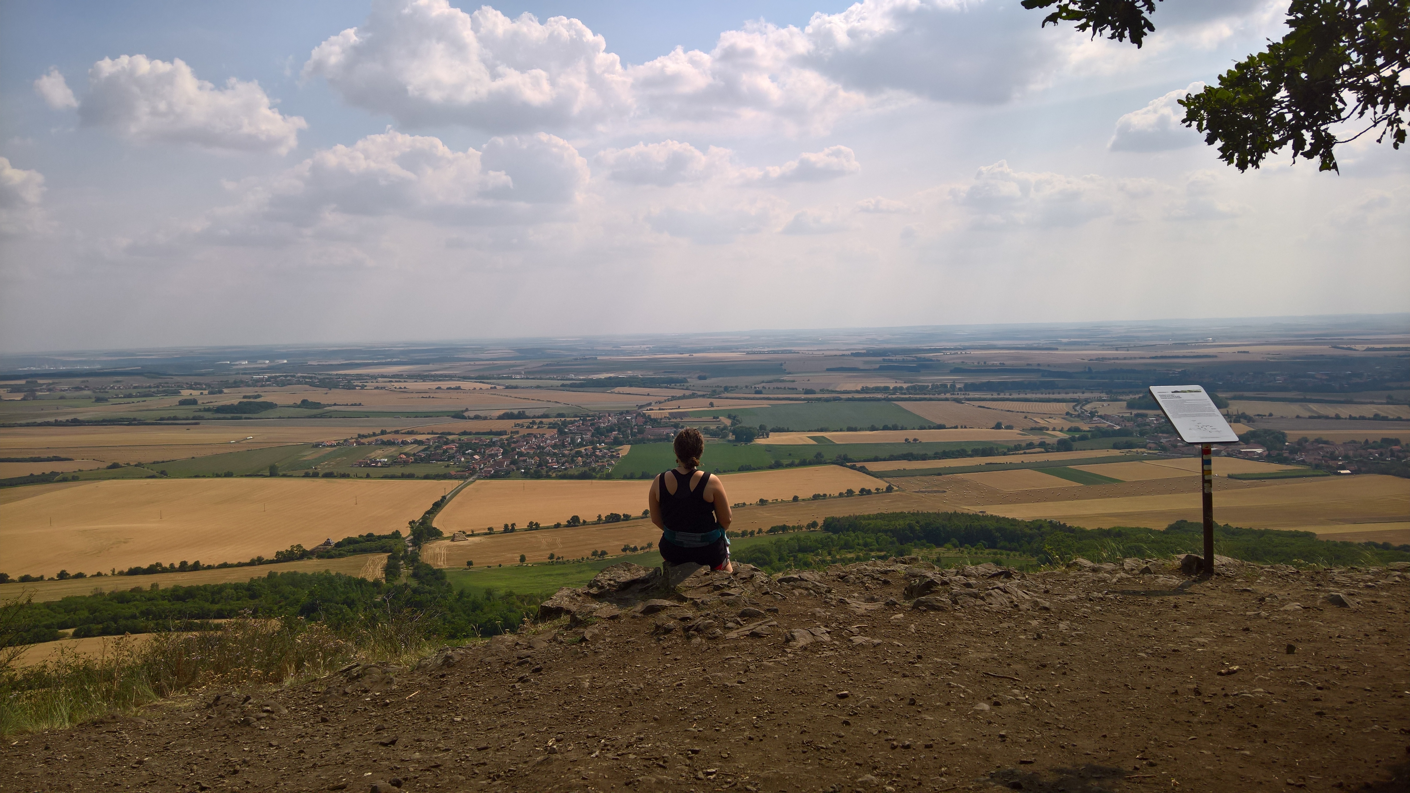 WP_20180718_15_45_35_Rich