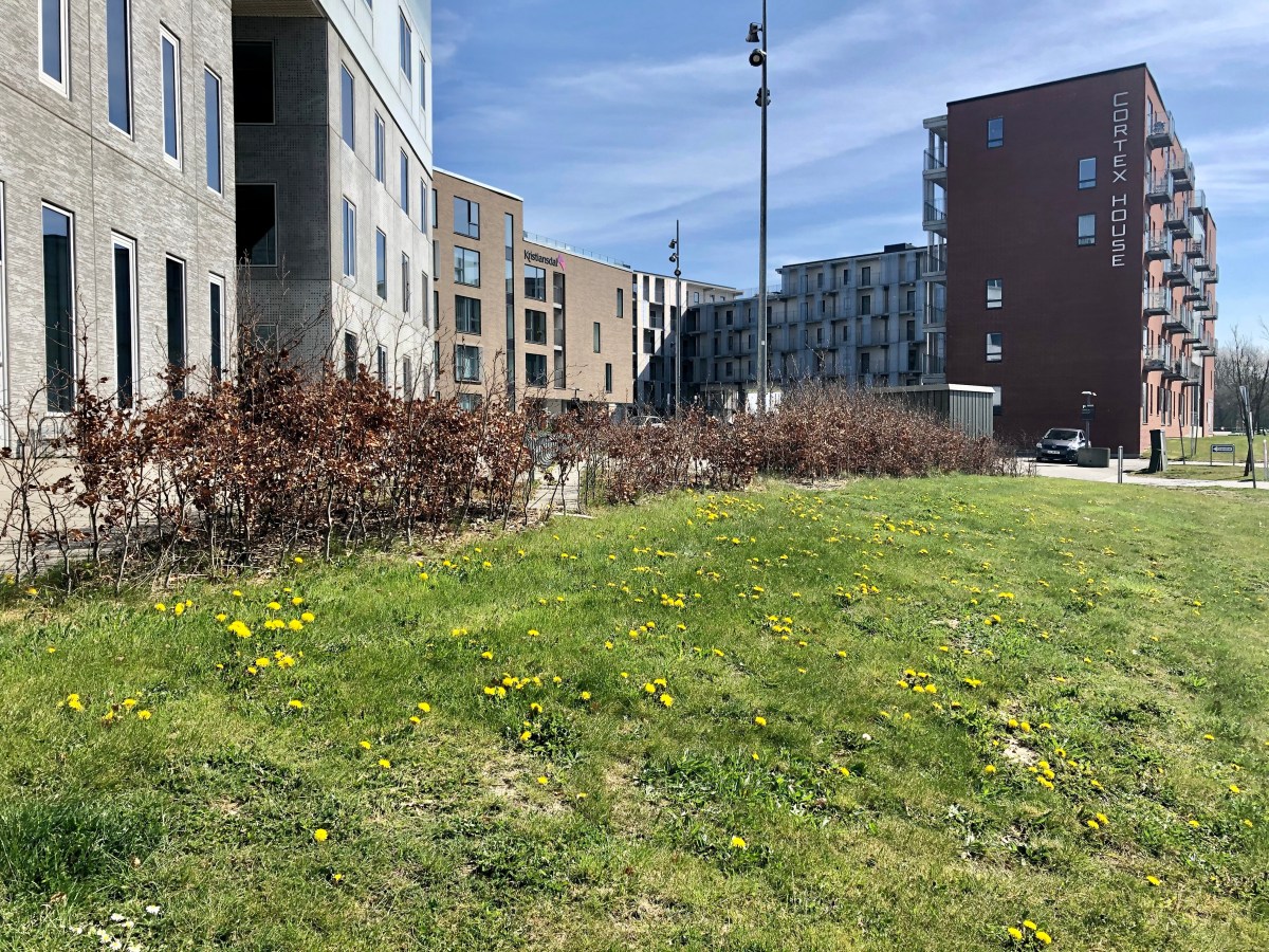 3 Unique Challenges of Lockdown for Expats